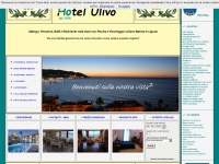 hotelulivo.net