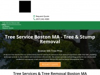 Bostontree.services