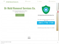 Dr-mold-removal-services-co.business.site
