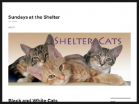 shelter-cats.com Thumbnail