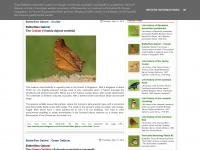 Butterflymuse.blogspot.com