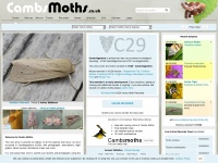 cambsmoths.co.uk Thumbnail