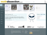 mothdissection.co.uk