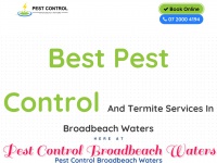 Pestcontrolbroadbeachwaters.com.au