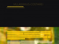 villasimius-costarei.com