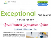 pestcontrolkangaroopoint.com.au Thumbnail