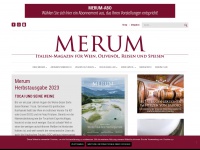 merum.info Thumbnail