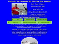 chesapeakebayfishing.net