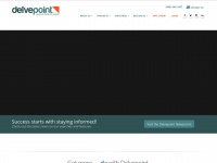 delvepoint.com