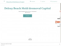 delray-beach-mold-dremoval-water-damage-restoration-service.business.site Thumbnail