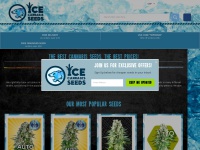 ice-cannabis-seeds.co.uk