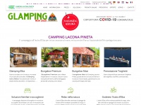Campinglaconapineta.com