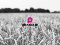 picapics.nl
