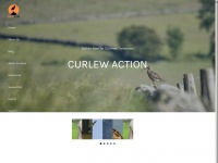 curlewaction.org