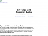 moldinspection-tampa.com
