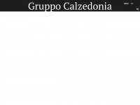 calzedoniagroup.com
