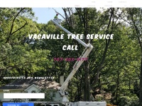Treeservicevacaville.com