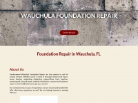 wauchulafoundationrepair.com Thumbnail