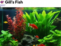 Gillsfish.com