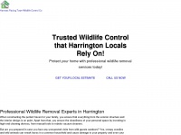 wildlifeharrington.com Thumbnail