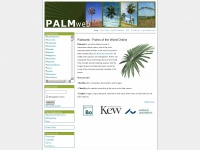 palmweb.org Thumbnail