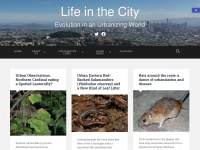 urbanevolution-litc.com