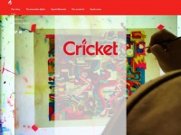 Cricketlighters.com