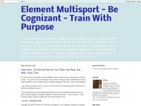 cognizant-triathlon.blogspot.com