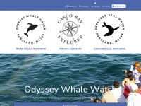 odysseywhalewatch.com Thumbnail