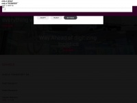 Aholagroup.com