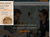 centralvethospital.com Thumbnail