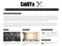 caidiya.com