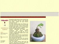 bonsai-bintangmas.tripod.com