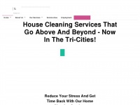abovethelinecleaning.com