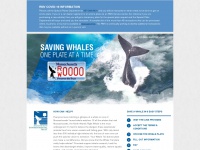 Whaleplate.org