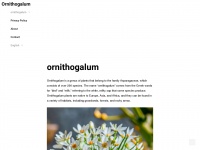 ornithogalum.com