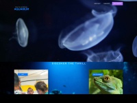 aquarium.com.mt Thumbnail