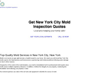 moldinspection-nyc.com Thumbnail