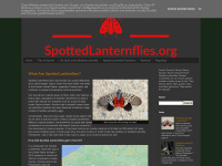 spottedlanternflies.org Thumbnail