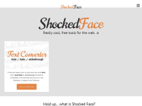 shockedface.net Thumbnail