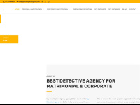 Spyinvestigationagency.com