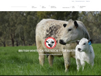 Britishwhitecattleaustralia.com.au