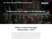 water-damage-nyc.com Thumbnail