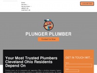 plungerplumberllc.com Thumbnail