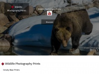 wildlifephotographyprints.com Thumbnail