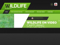 wildlifeonvideo.com Thumbnail