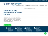 Dnprecovery.com
