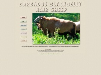 Barbadosblackbelly.com