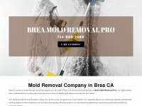 Breamoldremovalpro.com
