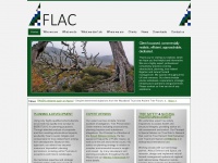 flac.uk.com Thumbnail
